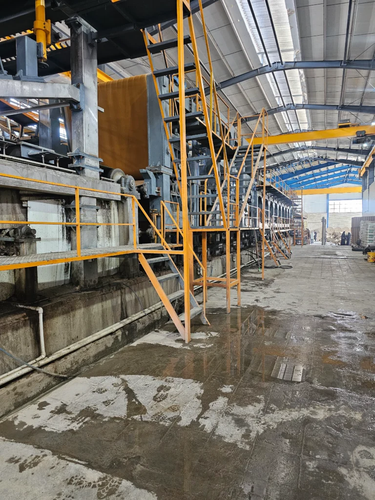 تصویر 5 از کاج سلولز سپاهان